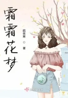 霜霜花夢 封面