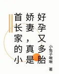 首長家的小嬌妻，真是好孕又多胎 封面