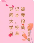 穿回大學日記本，校草被我撩瘋了 封面