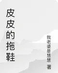 皮皮的拖鞋 封面