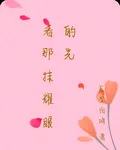 看那抹耀眼的光 封面