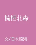 楠棲北森 封面