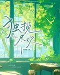 獨攬盡歡 封面