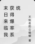 末日來臨我獲得爆率系統 封面