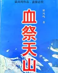 血祭天山 封面