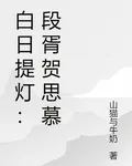 白日提燈：段胥賀思慕 封面