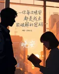 你每句晚安都是我未能破解的密碼 封面