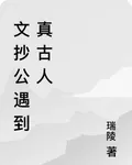 文抄公遇到真古人 封面