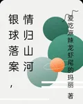 銀球落案，情歸山河 封面
