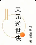 天元逆世訣 封面