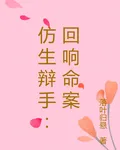 仿生辯手：迴響命案 封面
