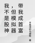 我不是股神，但模擬器帶我成首富 封面