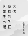 閃婚老公是我撿的失憶大佬 封面