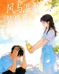 風與溫柔皆盛夏 封面