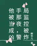 他被當成兇手那夜，警局監控被炸 封面