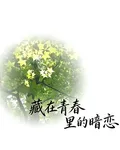 藏在青春裏的暗戀 封面