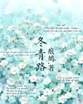 冬青路 封面