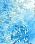 向陽不暖 封面