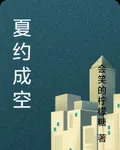 夏約成空 封面