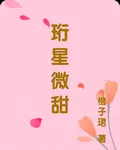珩星微甜 封面