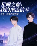 星曜之巔：我的頂流前輩 封面