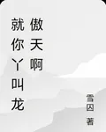 就你丫叫龍傲天啊 封面