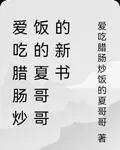愛喫臘腸炒飯的夏哥哥的新書 封面