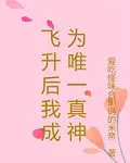 飛昇後我成爲唯一真神 封面