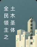 全民領主之土木聖體 封面