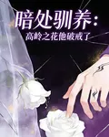 暗處馴養：高嶺之花他破戒了 封面