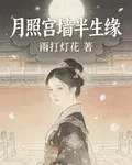 宮牆月照半生緣 封面