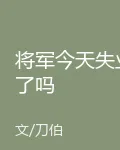 將軍今天失業了嗎 封面