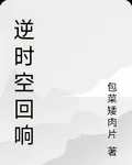 逆時空迴響 封面