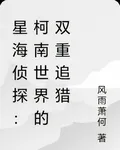 星海偵探：柯南世界的雙重追獵 封面