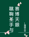 蹴鞠聖手與賽博天眼 封面