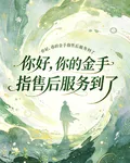 你好，你的金手指售後服務到了 封面