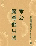魔尊他只想考公 封面