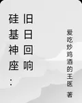 硅基神座：舊日迴響 封面