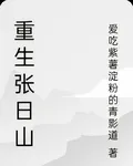 盜墓重生張日山 封面