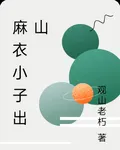 麻衣小子出山 封面