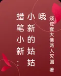 蠟筆小新：小新的姑姑哦 封面