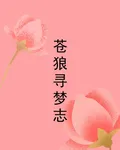 蒼狼尋夢志 封面
