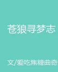 蒼狼尋夢志 封面