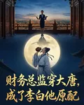 財務總監穿大唐，成了李白他原配 封面