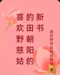 喜歡野慈姑的田朝陽 封面