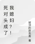 死對頭成了我媳婦？！ 封面