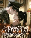 六零替嫁軍婚，我撩翻冷麪營長 封面