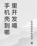 手機殼到哪裏開發噶 封面