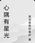 心隅有星光 封面