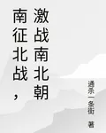 南征北戰，激戰南北朝 封面